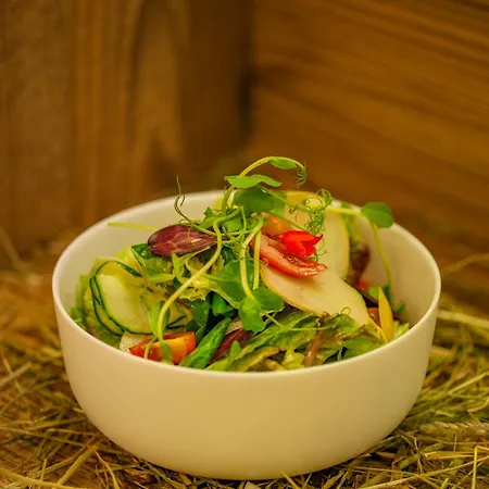 Aktivhotel Pehab Hotel Ramsau am Dachstein