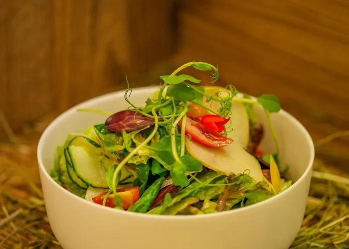 Pehab - Dachstein Rooftop-spa מלון רמסאו אם דכשטיין